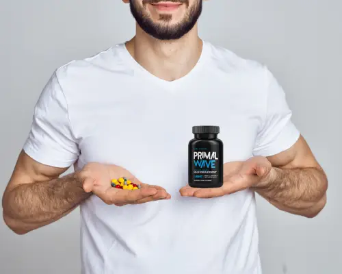 Primal Wave official image